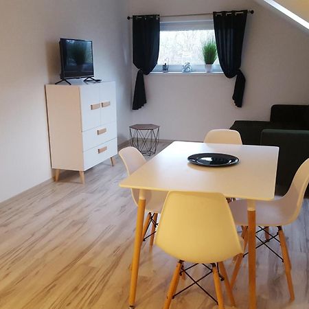 Apartamenty - Pod Wierzbami Dwikozy Szoba fotó