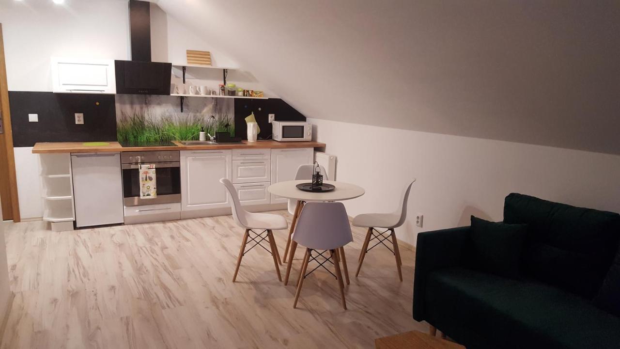 Apartamenty - Pod Wierzbami Dwikozy Kültér fotó