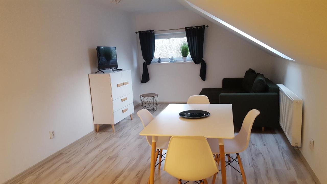 Apartamenty - Pod Wierzbami Dwikozy Kültér fotó