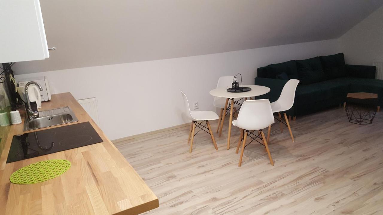Apartamenty - Pod Wierzbami Dwikozy Kültér fotó