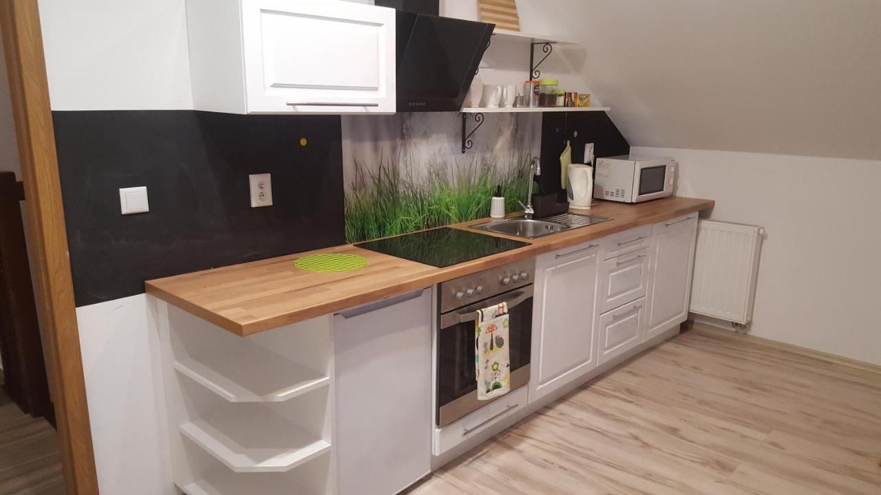 Apartamenty - Pod Wierzbami Dwikozy Kültér fotó