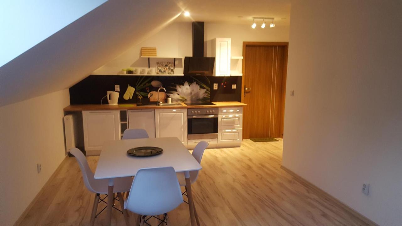Apartamenty - Pod Wierzbami Dwikozy Kültér fotó