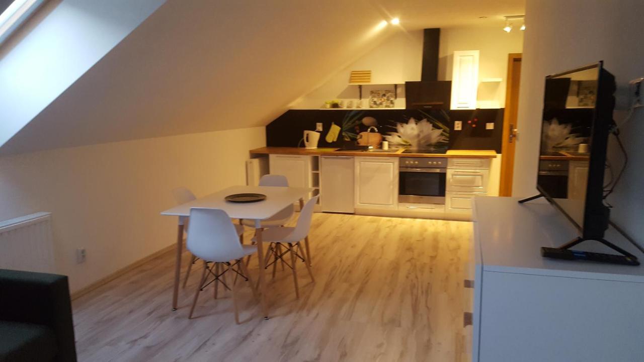 Apartamenty - Pod Wierzbami Dwikozy Kültér fotó