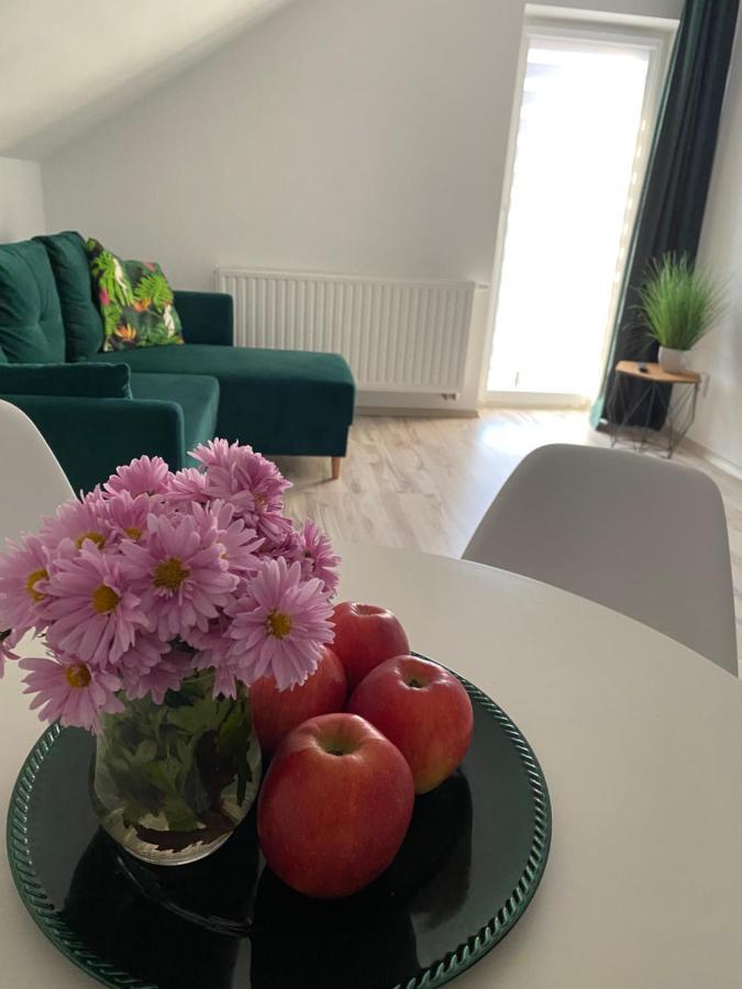 Apartamenty - Pod Wierzbami Dwikozy Kültér fotó