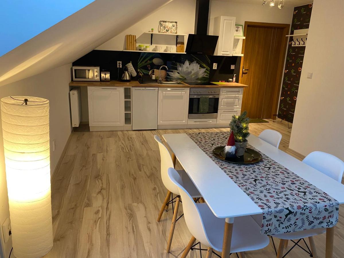 Apartamenty - Pod Wierzbami Dwikozy Kültér fotó
